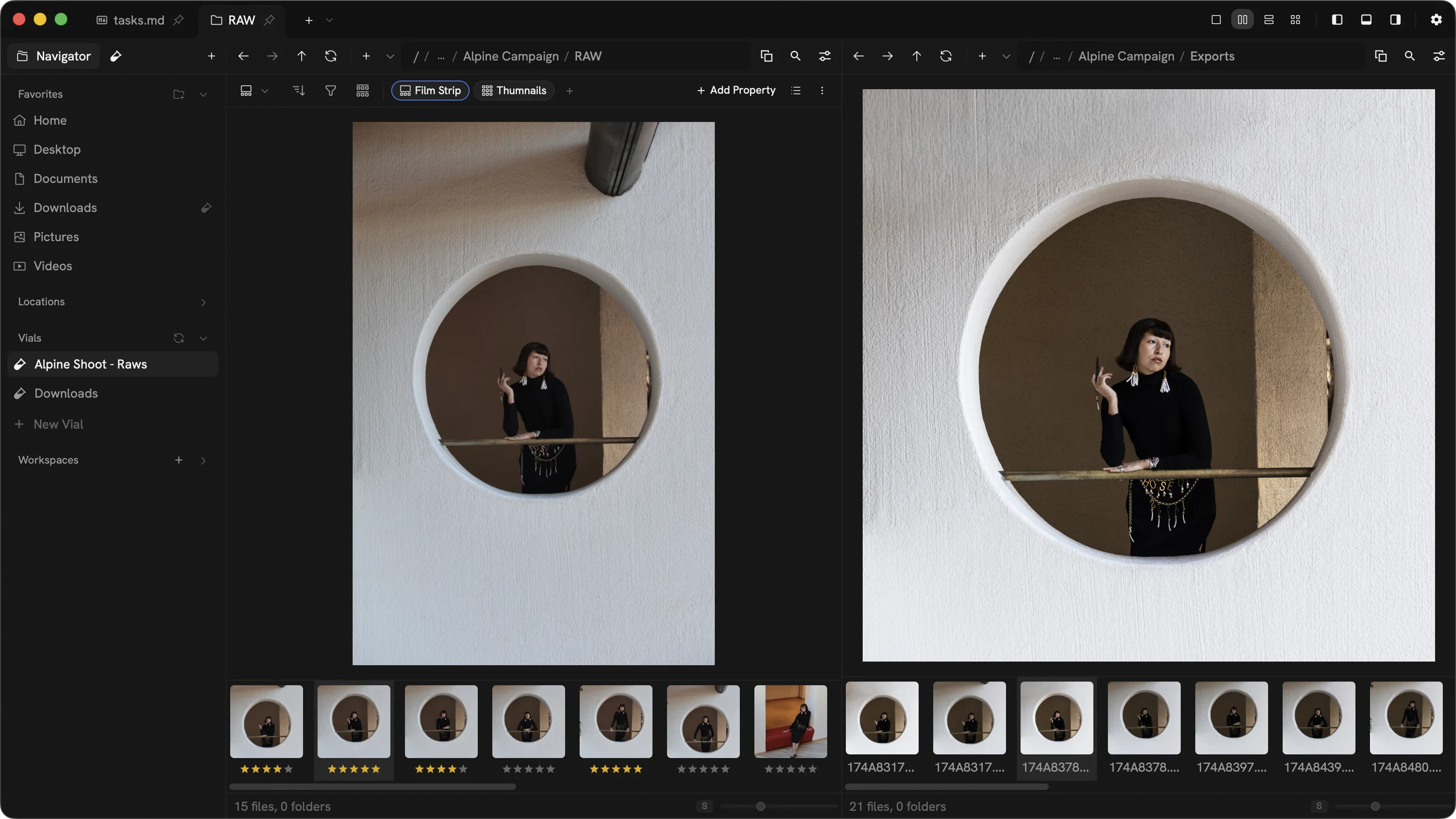 Phials media library browsing photos and videos with image preview and metadata tags